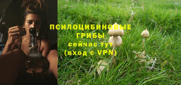 бутират Михайлов