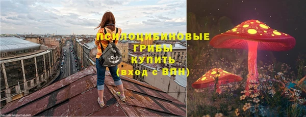 прущий лед Михайловка